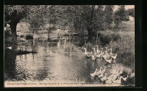 AK Ouzouer-sur-Trézée, Elevage Avicole de la Petite Motte