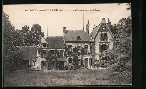 AK Ouzouer-sur-Trézée, La Chateau de Mont-Lion