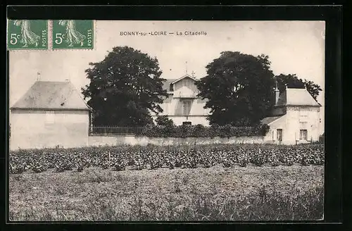 AK Bonny-sur-Loire, La Citadelle