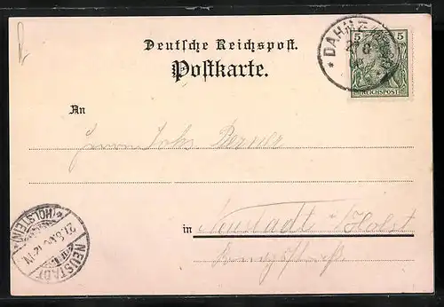 AK Dahme, Gasthaus Stamps Waldhalle, Dahmeshöved, Leuchtturm, Kroneneiche