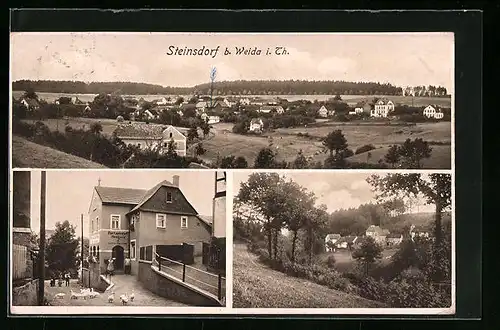 AK Steinsdorf b. Weida, Strassenpartie mit Gänsen, Totalansicht