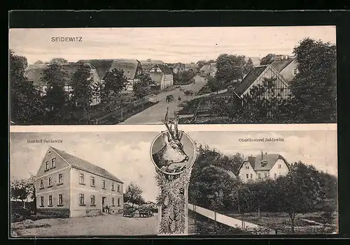 AK Seidewitz, Gasthof Seidewitz, Oberförsterei, Ortspartie aus der Vogelschau