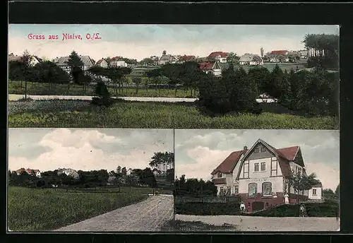 AK Ninive, Kolonialwarenhandlung, Totalansicht aus der Ferne