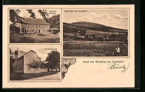 AK Wuischke am Czorneboh, Gasthof Meitrach, Forstmeisterei, Panorama
