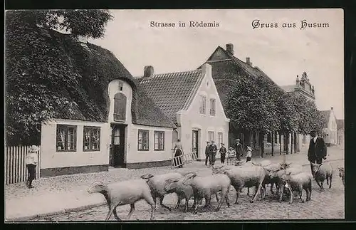 AK Husum-Rödemis, Getriebene Schafherde in einer Strasse