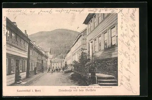 AK Lautenthal i. Harz, Neuestrasse mit dem Bielstein