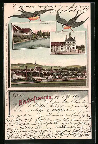Lithographie Bischofswerda, Gesamtansicht, Schwanenteich, Rathaus