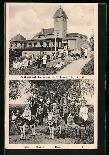 AK Ebersbach /Sa., Restaurant Felsenmühle, Kinder auf Eseln