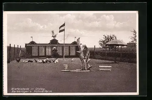 AK Wiefelstede / Oldenburg, Bartkrögers Hühnerfarm