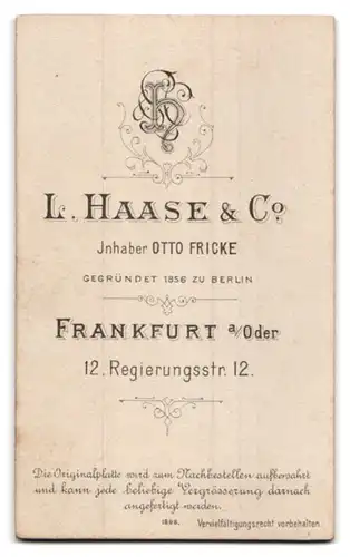 Fotografie L. Haase & Co., Frankfurt a /Oder, Regierungsstr. 12, Junger Herr im Anzug mit Fliege