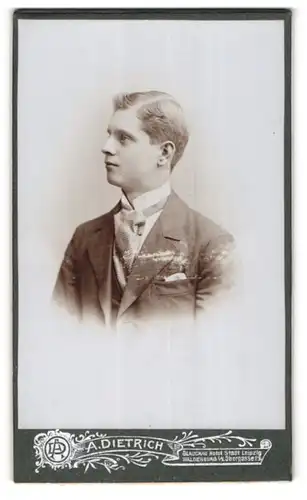 Fotografie Alwin Dietrich, Glauchau, Leipziger Str., Junger Herr im Anzug mit Krawatte