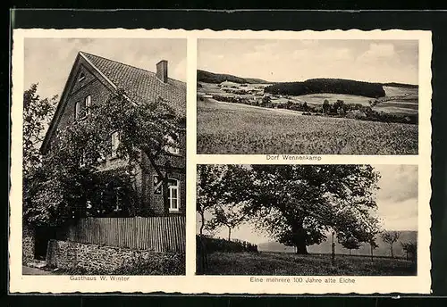 AK Wennenkamp b. Rinteln, Gasthaus W. Winter, Eine mehrere 100 Jahre alte Eiche, Dorfansicht