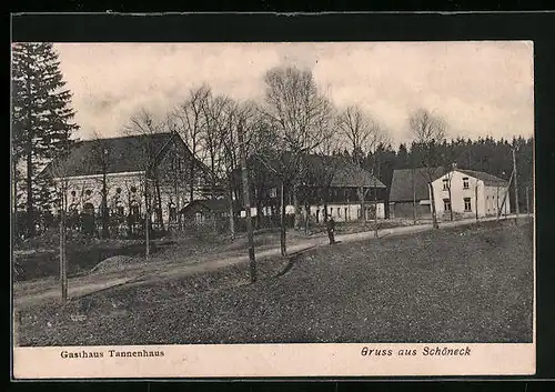 AK Schöneck, Gasthaus Tannenhaus