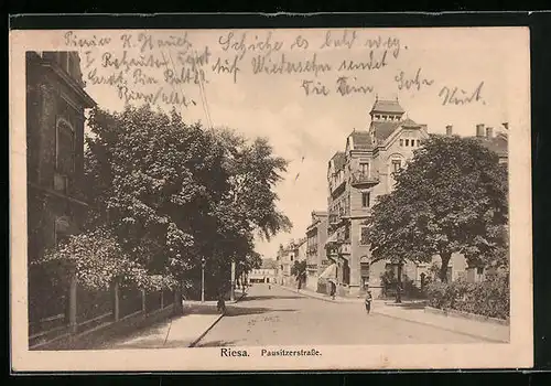 AK Riesa, Pausitzerstrasse mit Bäumen