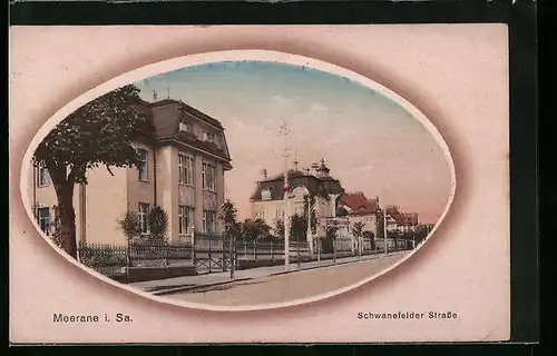 AK Meerane i. Sa., Schwanefelder Strasse mit Bäumen