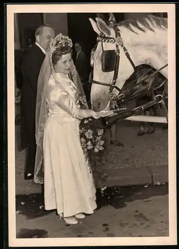 Fotografie Brautmode, Hochzeitzsbraut im seidenen Hochzeitskleid füttert Pferde der Prunkkutsche