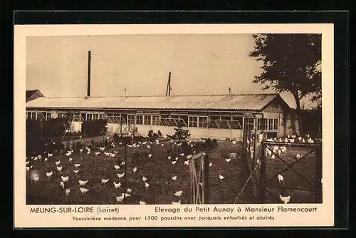 AK Meung-Sur-Loire, Elevage du Petit Aunay à Monsieur Flamencourt