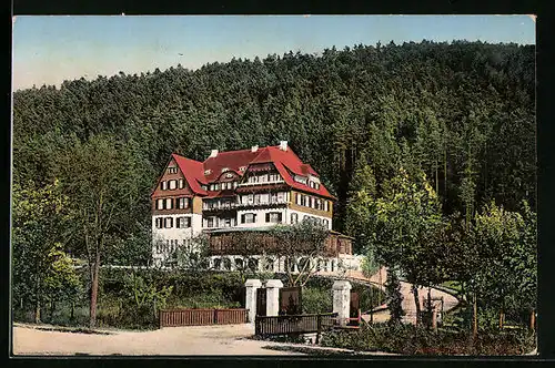 AK Sulz a. Neckar, Erholungsheim Pfisterwald, Auffahrt