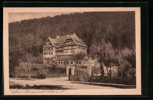 AK Sulz a.N., Solbad Pfisterwald mit Strasse