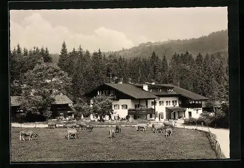 AK Elmau, Gasthaus Alpengut
