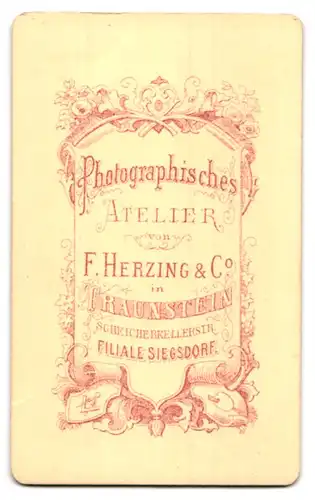 Fotografie F. Herzing & Co., Traunstein, Scheicherkellerstrasse, Dame im ausladenden Kleid