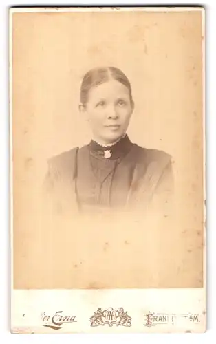 Fotografie W. Husenbeth, Frankfurt a. M., Kaiserstr. 5 a, Junge Dame mit zurückgebundenem Haar