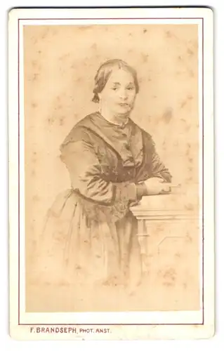 Fotografie F. Brandseph, Stuttgart, Marienstr. 36, Bürgerliche Dame in hübscher Kleidung