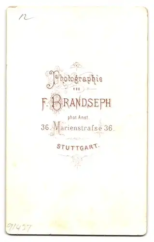 Fotografie F. Brandseph, Stuttgart, Marienstr. 36, Bürgerliche Dame in hübscher Kleidung