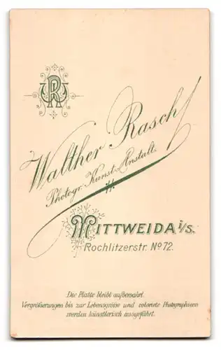 Fotografie Walther Rasch, Mittweida, Rochlitzerstrasse 72, Frau im karierten Kleid