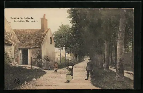 AK Beaune-la-Rolande, Le Mail des Marronniers