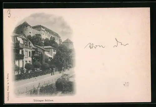 AK Tübingen, Schloss mit Villen