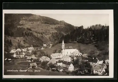 AK Opponitz /Ybbstal, Ortsansicht aus der Vogelschau