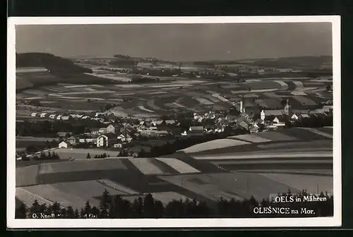 AK Olesnice na Mor., Panorama