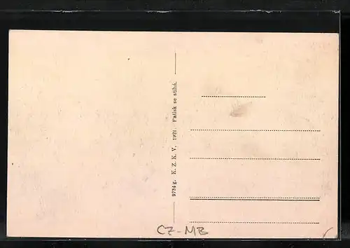 AK Horovice, Gesamtansicht