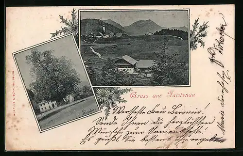 AK Faistenau, Ortsansicht mit Dorflinde