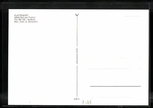 AK Söll bei Tramin, Gasthaus Plattenhof
