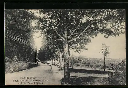 AK Freudenstadt, Blick von der Lauterbadstrasse auf die Villenkolonie