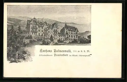 AK Freudenstadt im Württ. Schwarzwald, Kurhaus Palmenwald
