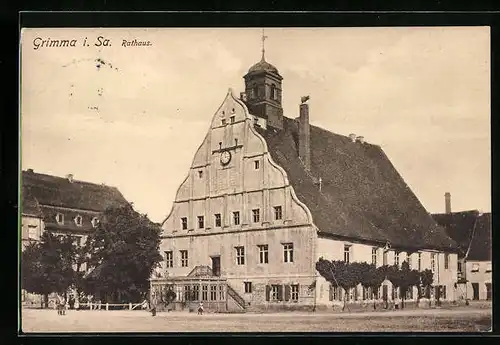 AK Grimma i. Sa., Rathaus mit Bäumen