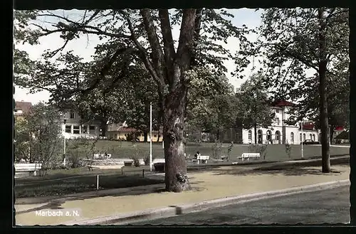 AK Marbach a. N., Bäume im Park mit Bänken