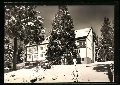 AK Kniebis /Schwarzwald, Naturfreundehaus im Schnee