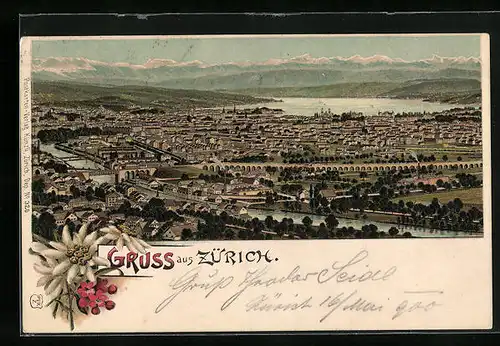 Lithographie Zürich, Panorama, Alpenblumen