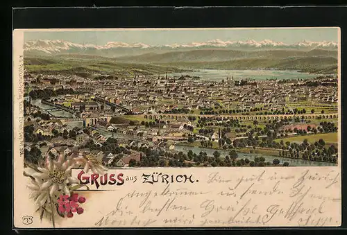 Lithographie Zürich, Panorama, Alpenblumen