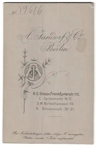 Fotografie A. Jandorf & Co., Berlin-NO, Grosse Frankfurterstr. 113, Junge Dame mit zurückgebundenem Haar