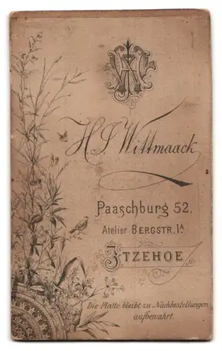 Fotografie H. J. Wittmaack, Itzehoe, Paaschburg 52, Älterer Herr im Anzug mit Bart