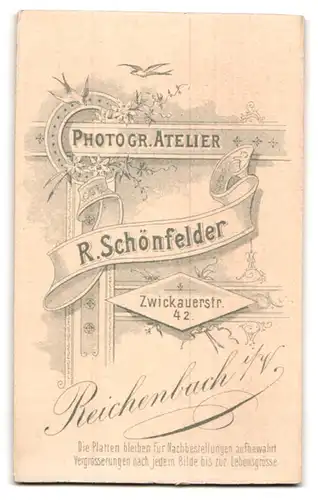 Fotografie R. Schönfelder, Reichenbach i /V., Zwickauerstr. 42, Süsses Kleinkind im weissen Kleid