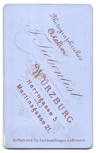 Fotografie F. Siebenlist, Würzburg, Martinsgasse 21, Jüngling mit Fliege und Einstecktuch