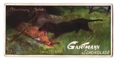 Sammelbild Gartmann Schokolade, Abrechnung, Jagdhund mit Fuchs