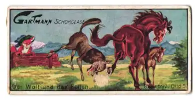 Sammelbild Gartmann Schokolade, Reineke Fuchs, Der Wolf