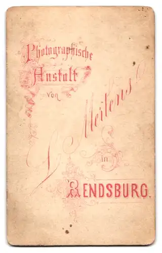 Fotografie L. Mertens, Rendsburg, Portrait Dame im Biedermeierkleid mit Brosche